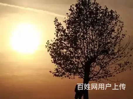 怎么劝退小三专门对付小三的机构老公朋友都有小三咋办 - 图片 2