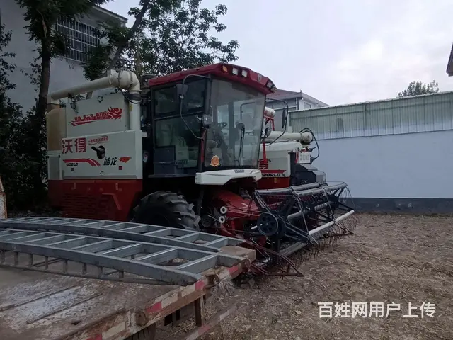 www.gensbook.com/query/ - 图片 5