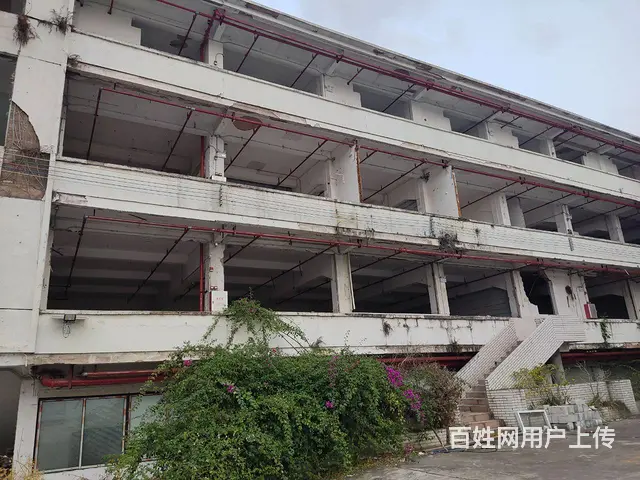 海珠区客村附近大型布匹物流仓库招租 - 图片 6