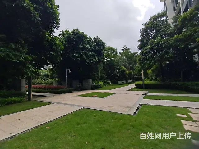 中信红树湾 东南向 电梯中层 精装5房 看前山河景 - 图片 12