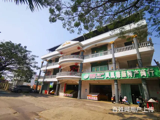 （51旺铺推荐）天涯区水蛟路临街整栋600平出租（房东直租 - 图片 4