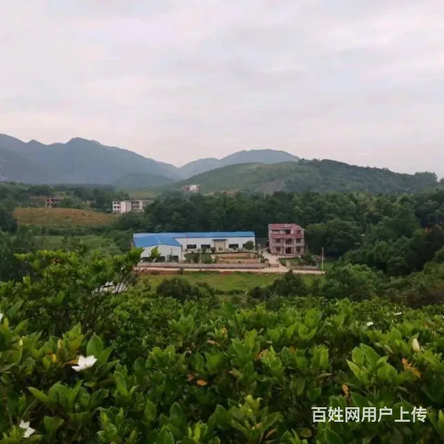厂房出租 - 图片 3