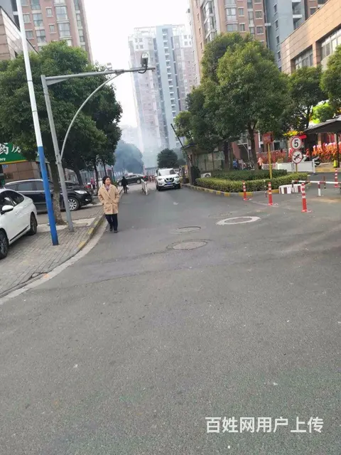 凤凰名城地铁口大三房赠送入户花园 满五唯一 有钥匙 - 图片 10