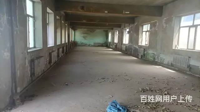 道里变兴路20路公交车终点厂房出租 - 图片 3