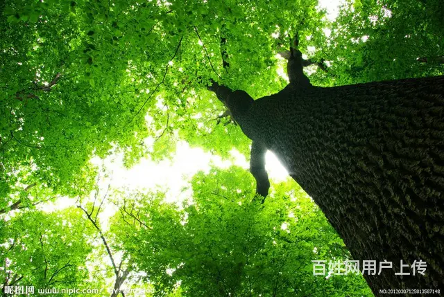 郑州市水利老师资质转让，郑州水利劳务资质转让 - 图片 2