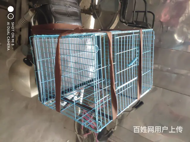 刚买的四十多块钱，亏本卖了25就好 - 图片 1