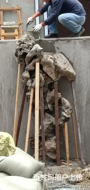 苏州锦鲤鱼批发零售价格实惠质量优 - 图片 9