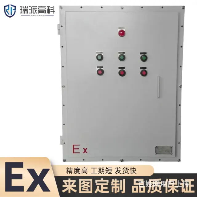 珠海防爆配电装置瑞派防爆配电箱来图设计-3C证书 - 图片 5