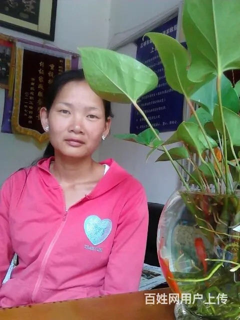 十六年老牌金牌月嫂,育婴师,保姆,钟点，陪护 - 图片 6