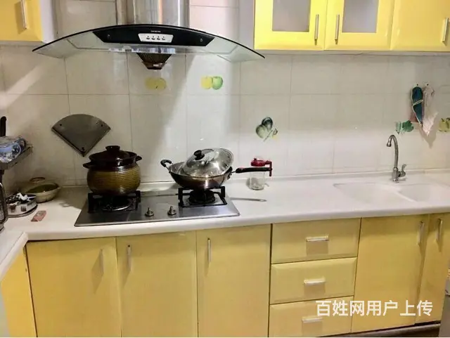白天鹅花园二期  南向 他有一股奇异魅力 身不由己 - 图片 11