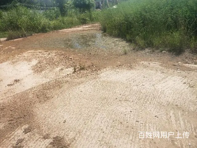 出租普宁中药市场周边空地约10亩 - 图片 1