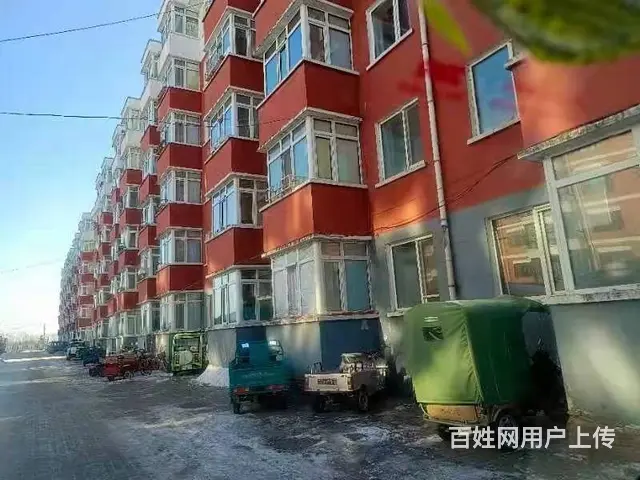 江滨农场物质楼 普通住宅 毛坯房 - 图片 8