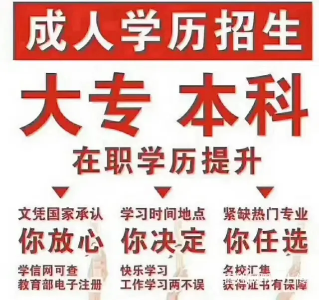 博学大专本科升学，您的首选 - 图片