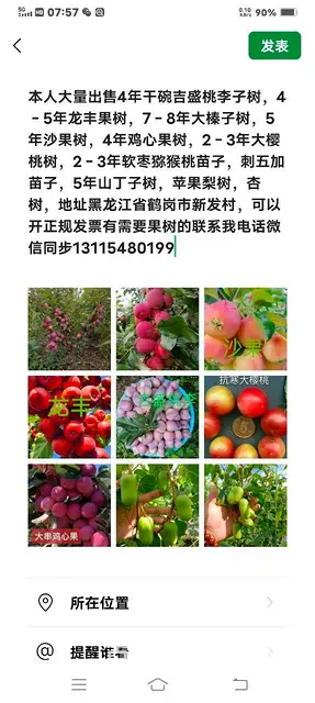 卖各种果树 - 图片 3
