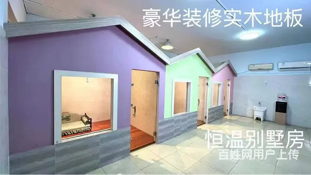 昆山宠物训练寄养学校 - 图片 3