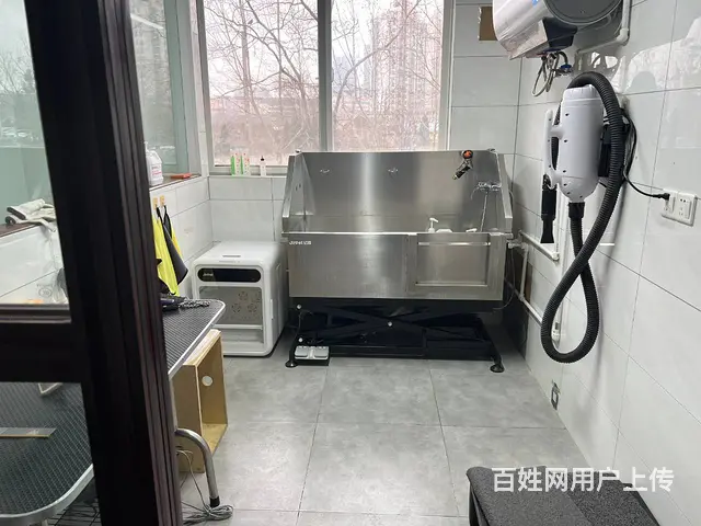 （城市快讯免费推荐）鼓楼区凯旋门中环广场宠物店转让 - 图片 5