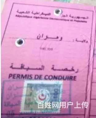 产品样本翻译 评估报告翻译 项目规划书翻译 翻译论 - 图片 1