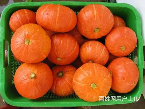 苏州农产品蔬菜批发配送 - 图片 8