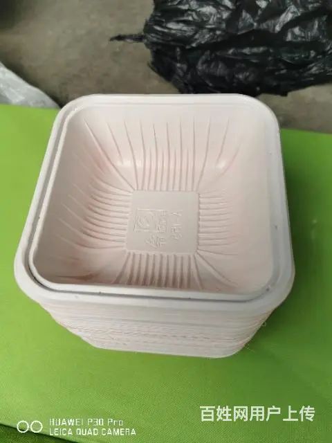 一次快餐盒 - 图片 3