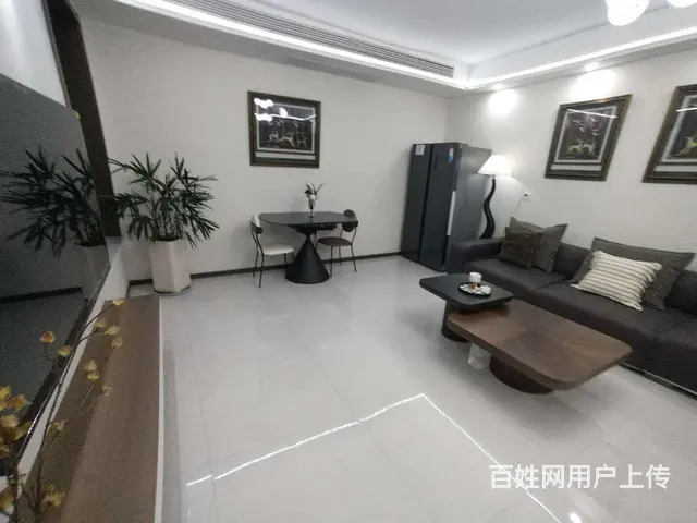 示范区实验小学 新理工大附近 正大国贸13楼 - 图片 4
