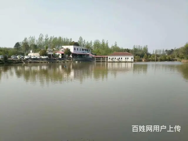 美丽农庄欢迎您来合作 环境好 路况好 非诚勿扰 - 图片 2