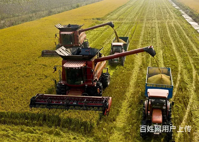 出国打工澳大利亚年薪60万新西兰欧洲雇主直招签证 - 图片 4