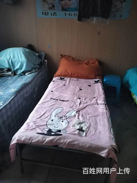 急招女生床位出租 - 图片