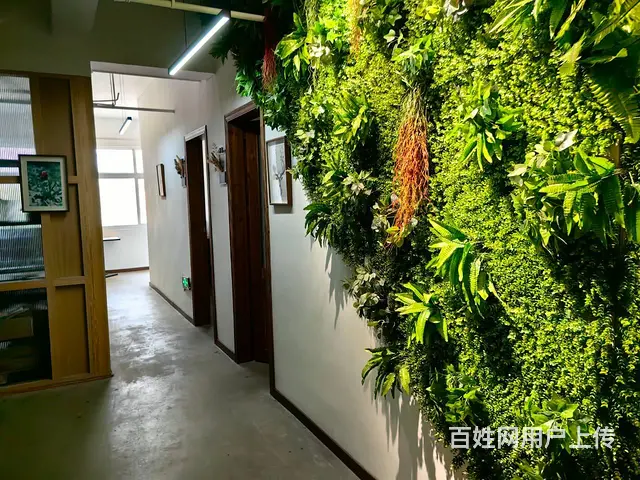 二楼招租 租金低 适合办公培训 棋牌会所 随时可看 - 图片 3