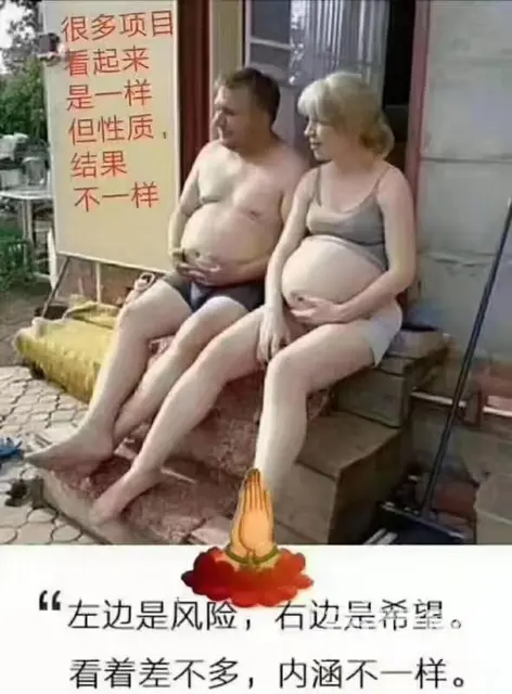 有品有鱼团队选择,有品有鱼实力团队加入 - 图片 3