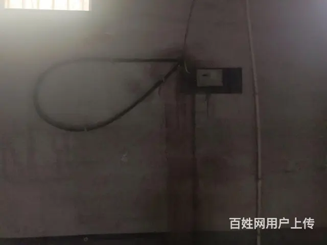 一层框架出租 - 图片 3