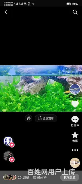 太子河早市 - 图片