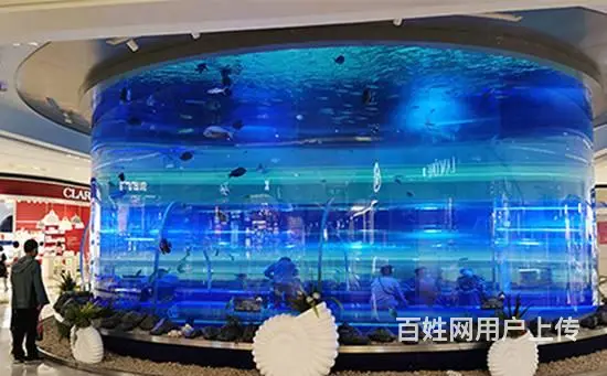 亚克力鱼缸造景的五个步骤 - 图片 3