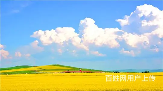 呼伦贝尔陈巴尔虎旗呼伦贝尔包车师傅呼伦贝尔包车来回多少钱 - 图片 1