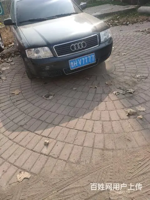 豹子号 - 图片