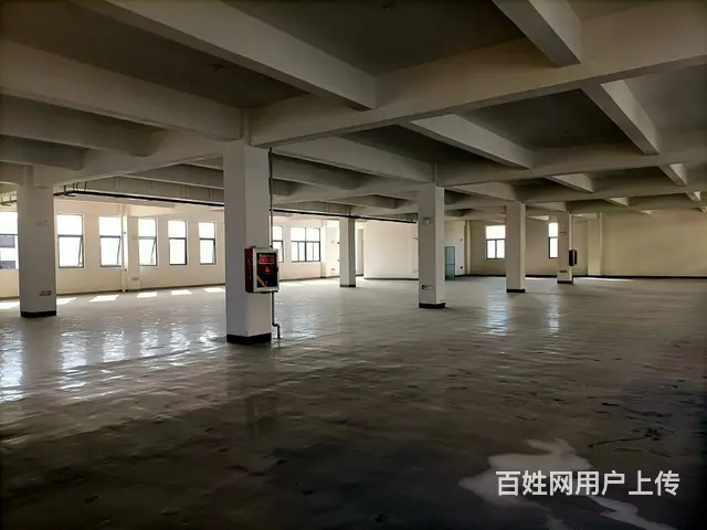 （圆点快讯）睢宁宁江工业园全新厂房出租 - 图片 10