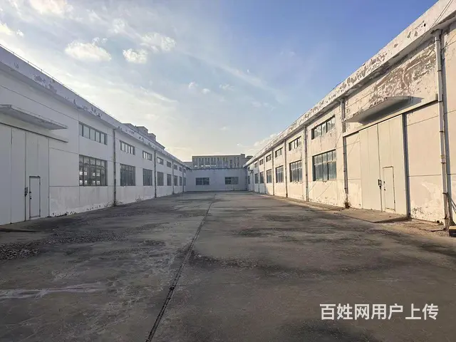 （新房源）初村钢结构独门独院8米高厂房大院子出租 - 图片 3