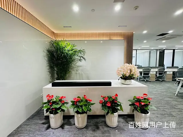 祥生中心，东站全新装修，大小面积都有，随时可看 - 图片 2
