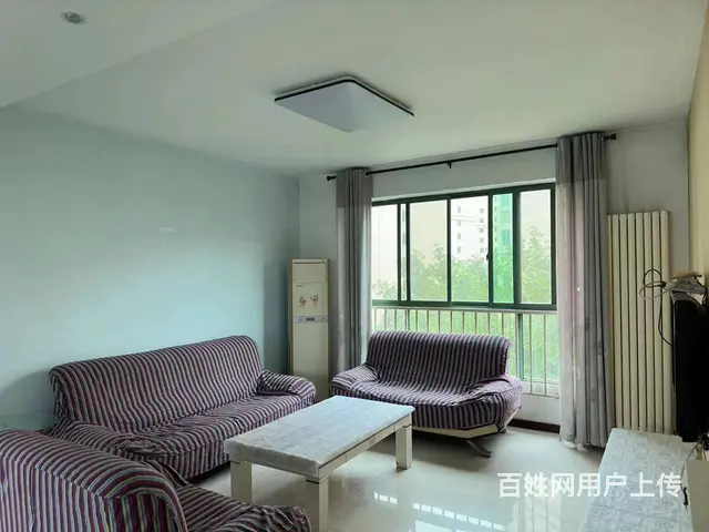 南昌路 中泰世纪花城  舒适三居 电梯房 拎包即住 - 图片 5