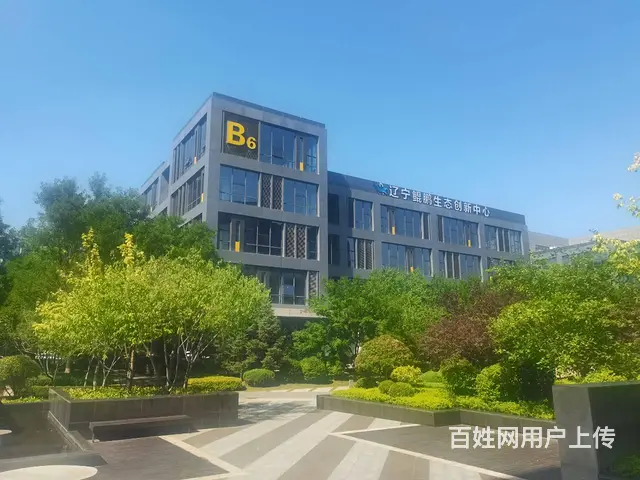 四层5700平独栋办公楼  沈阳国际软件园甲方招商 送免租期 - 图片 1