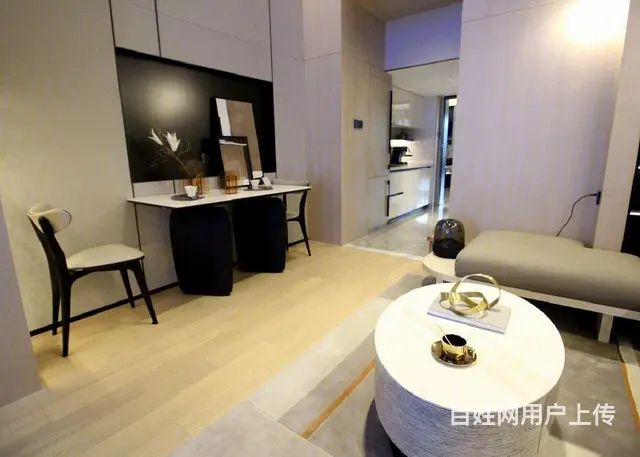 奥体大莲花碗旁 三交汇 240米江景公寓 精装送软 - 图片 9