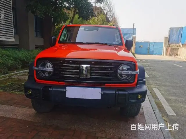 坦克300现车 - 图片 8