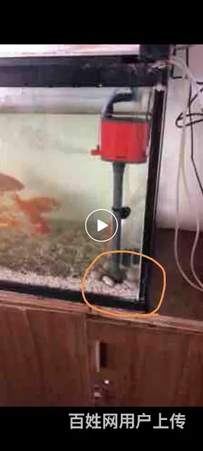 广州专业上门清洗鱼缸 - 图片 1