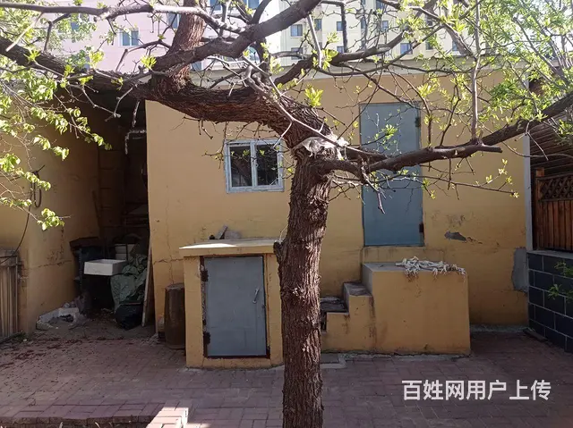 有意者请联系 - 图片 3