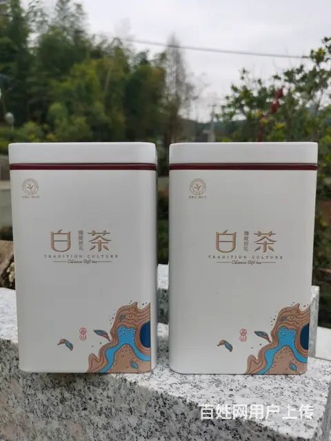 春节送礼选好茶 黄金叶茶 安吉白茶 小戴白茶直销 - 图片 5