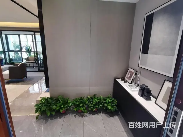 阳明府学旁！金鹏林溪书院！苏滁外国语！城东配套成熟核心位置 - 图片 4