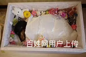 沈阳缘分宠物殡葬火葬#268元动物火化 - 图片 3