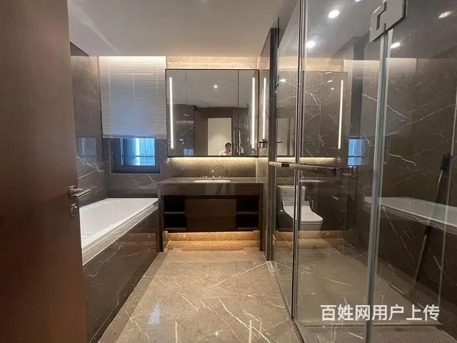 真房  降价租 SKP 汉街 融创 带衣帽间大浴缸 - 图片 12