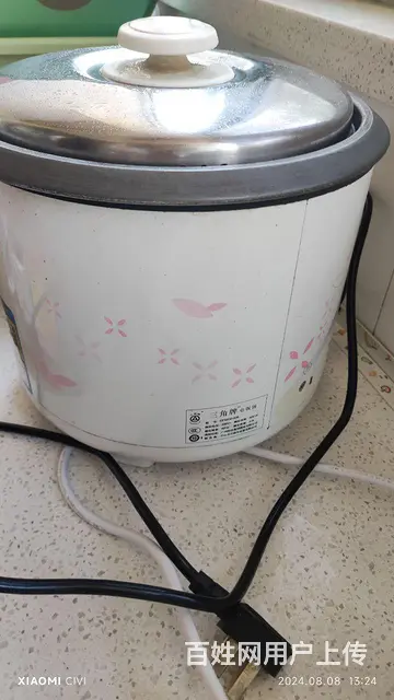 二手三角牌电饭锅3L 和2L各一个 - 图片 2