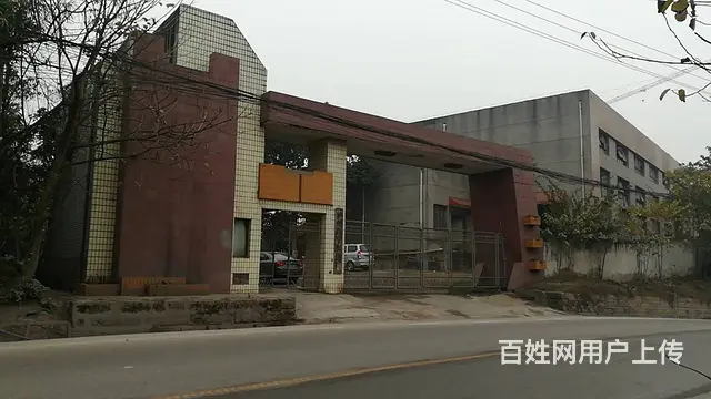 独院式工业厂房出租 其他 中等装修 - 图片