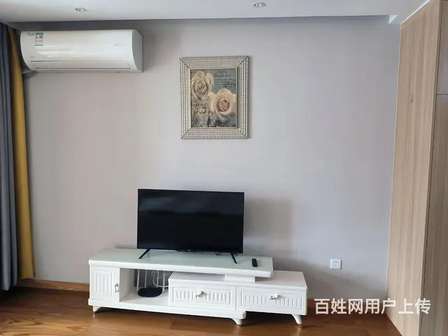 龙渡广场精品房出租 - 图片 2